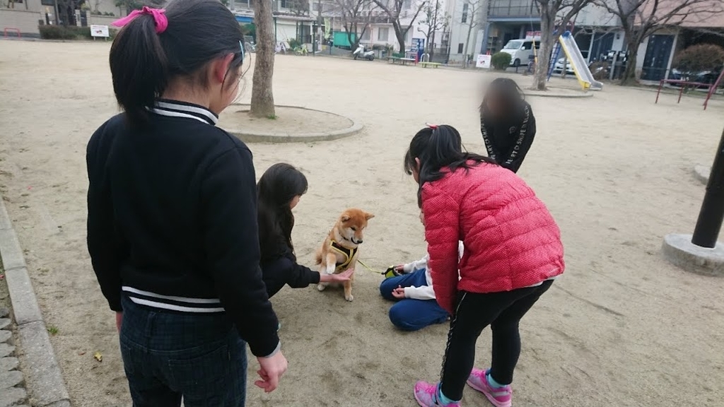 f:id:kekio2000:20190210205719j:plain f:id:kekio2000:20190210205719j:plain