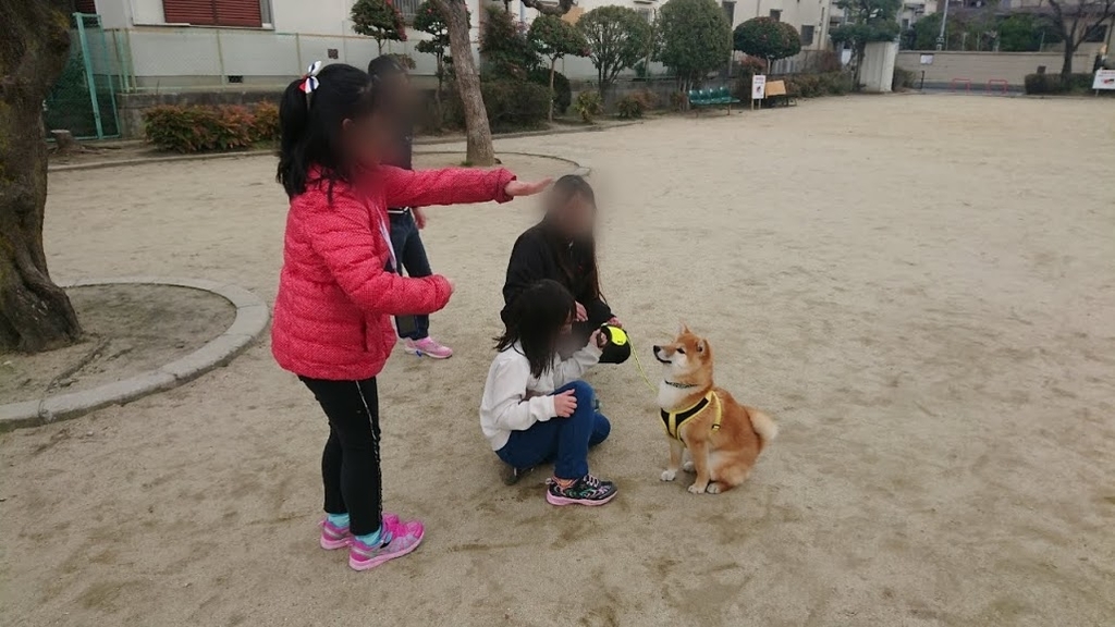 f:id:kekio2000:20190210205747j:plain f:id:kekio2000:20190210205747j:plain