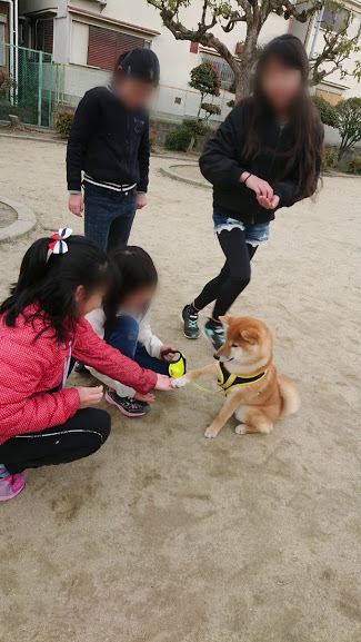 f:id:kekio2000:20190210205812j:plain f:id:kekio2000:20190210205812j:plain