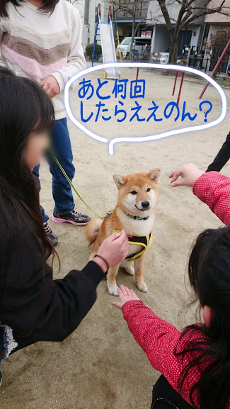 f:id:kekio2000:20190210205923j:plain f:id:kekio2000:20190210205923j:plain