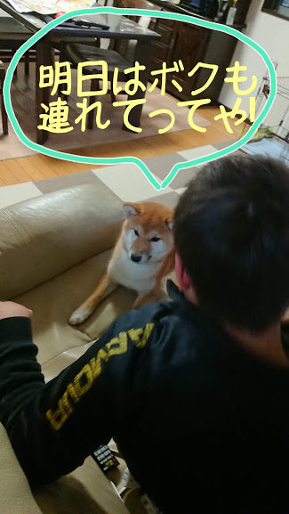 f:id:kekio2000:20190213122823j:plain f:id:kekio2000:20190213122823j:plain