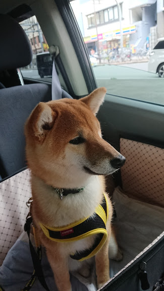 f:id:kekio2000:20190215143027j:plain f:id:kekio2000:20190215143027j:plain