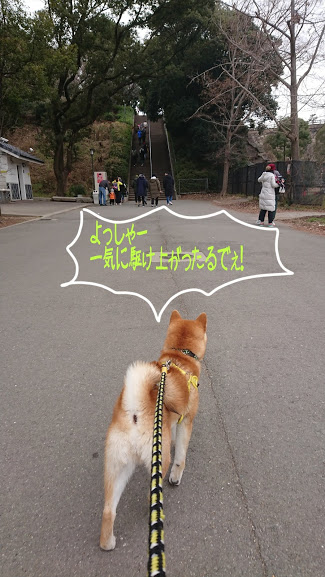 f:id:kekio2000:20190215143501j:plain f:id:kekio2000:20190215143501j:plain