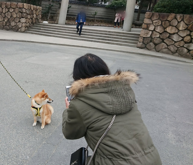 f:id:kekio2000:20190216135007j:plain f:id:kekio2000:20190216135007j:plain