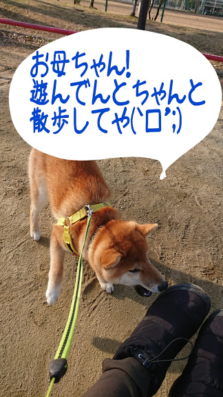 f:id:kekio2000:20190226133557j:plain f:id:kekio2000:20190226133557j:plain