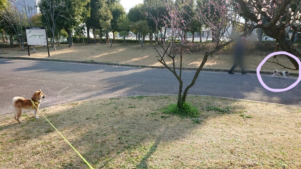 f:id:kekio2000:20190226134210j:plain f:id:kekio2000:20190226134210j:plain