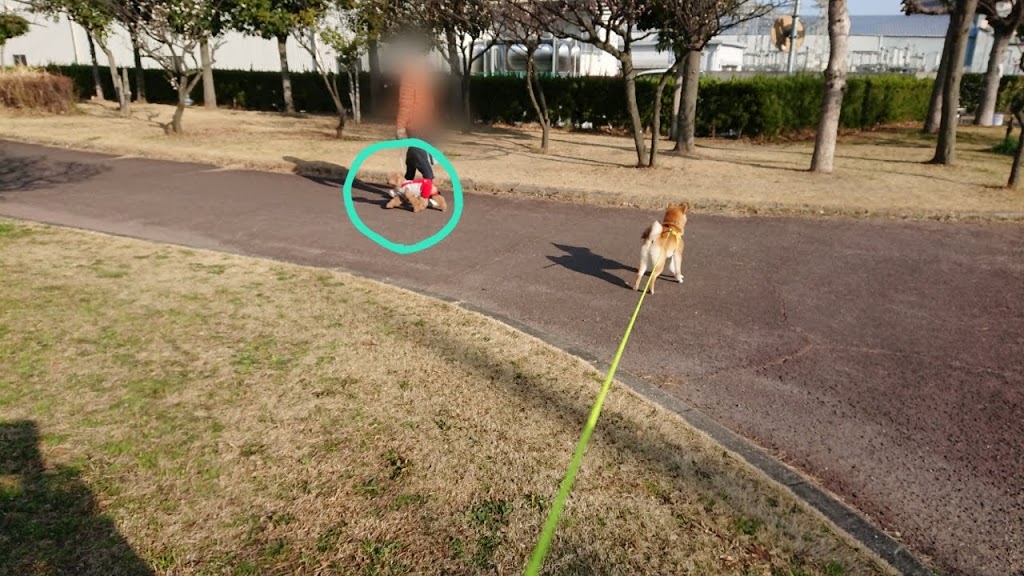 f:id:kekio2000:20190226134304j:plain f:id:kekio2000:20190226134304j:plain