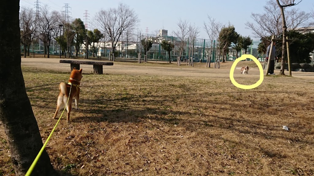f:id:kekio2000:20190226134927j:plain f:id:kekio2000:20190226134927j:plain