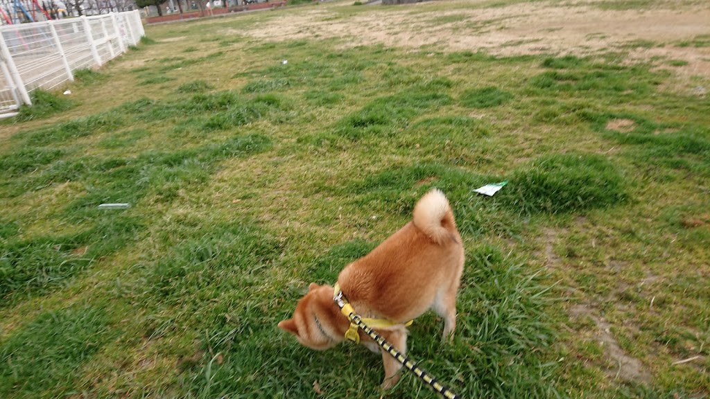 f:id:kekio2000:20190227120343j:plain f:id:kekio2000:20190227120343j:plain