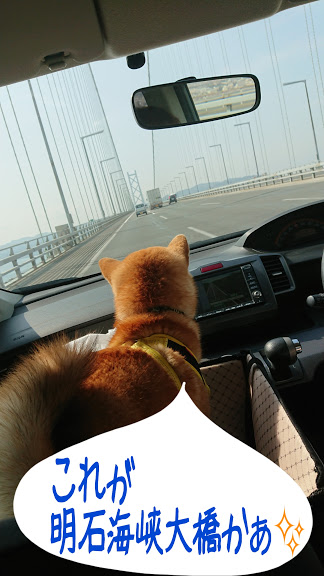 f:id:kekio2000:20190301164229j:plain f:id:kekio2000:20190301164229j:plain