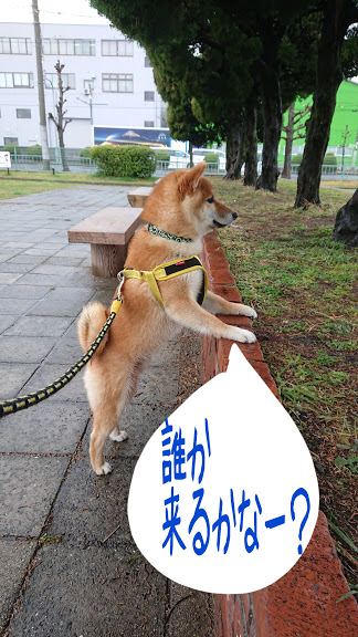 f:id:kekio2000:20190304120703j:plain f:id:kekio2000:20190304120703j:plain