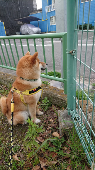 f:id:kekio2000:20190306122459j:plain f:id:kekio2000:20190306122459j:plain