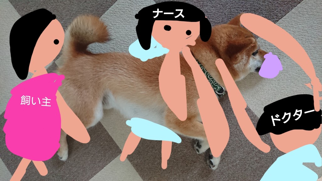 f:id:kekio2000:20190706113003j:plain