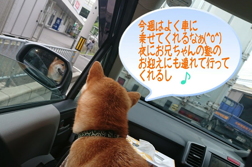 f:id:kekio2000:20190706113108j:plain