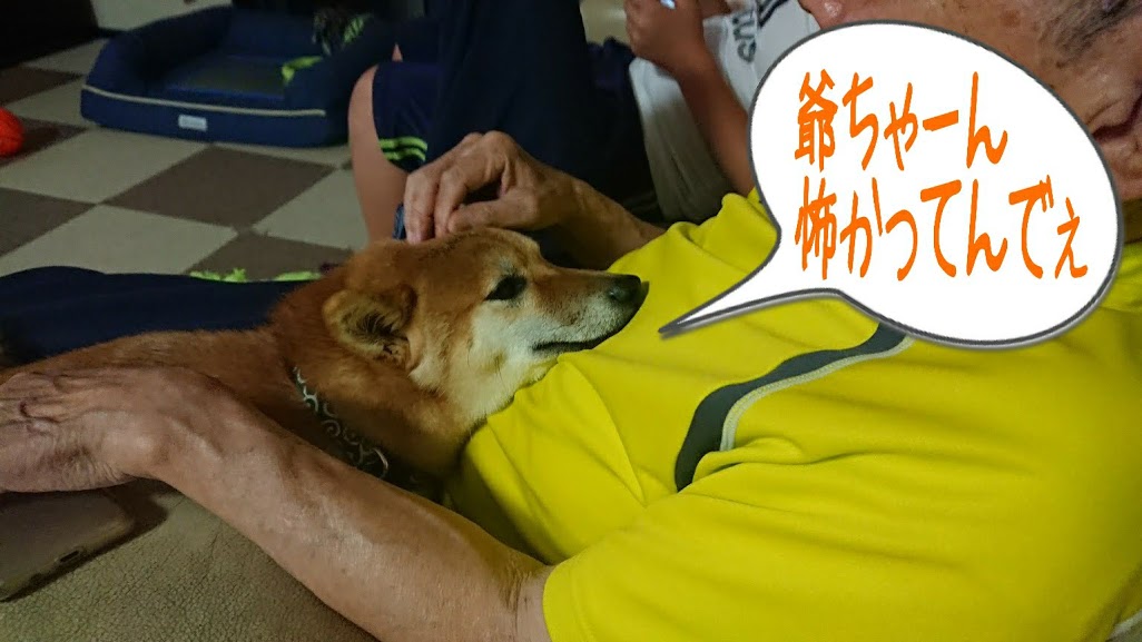 f:id:kekio2000:20190706113221j:plain