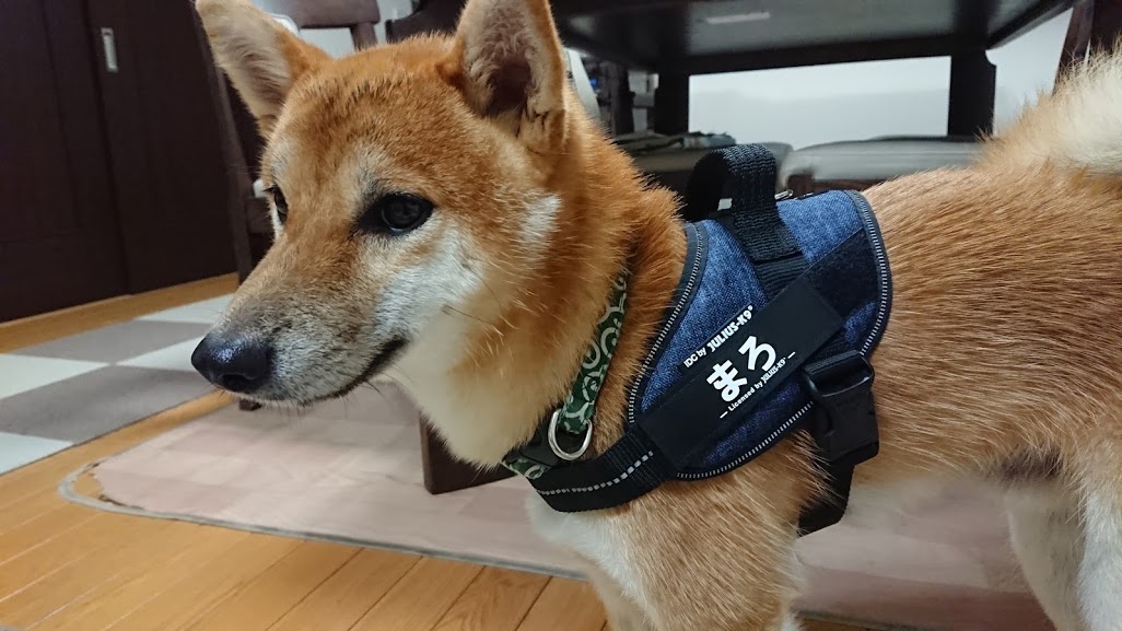 f:id:kekio2000:20190804125814j:plain f:id:kekio2000:20190804125814j:plain