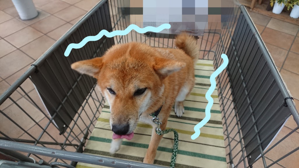 f:id:kekio2000:20190806135843j:plain