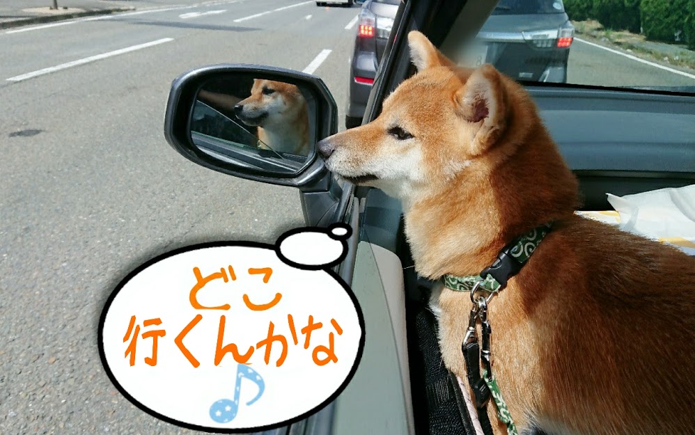 f:id:kekio2000:20190806144010j:plain