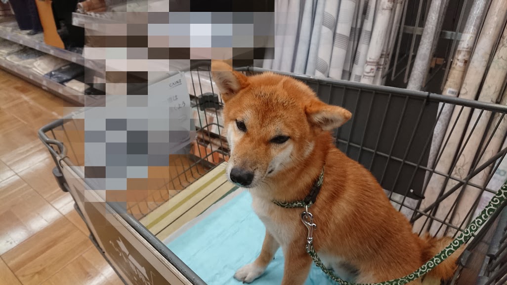 f:id:kekio2000:20190806150417j:plain