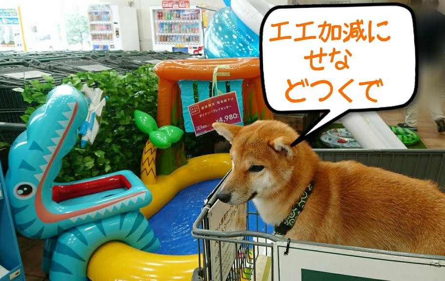 f:id:kekio2000:20190806150959j:plain