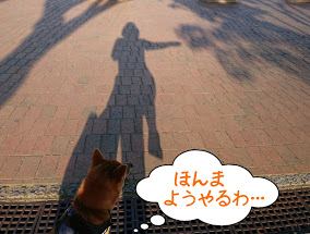 f:id:kekio2000:20190809125329j:plain f:id:kekio2000:20190809125329j:plain