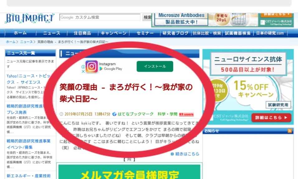 f:id:kekio2000:20190809140034j:plain f:id:kekio2000:20190809140034j:plain