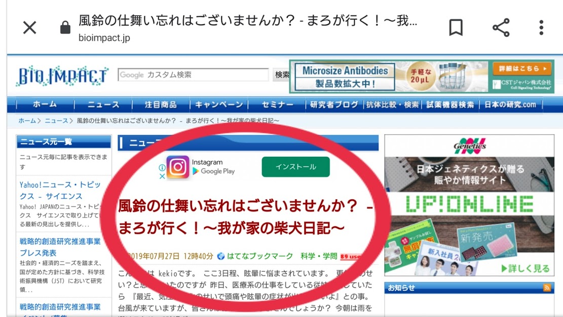 f:id:kekio2000:20190809140054j:plain f:id:kekio2000:20190809140054j:plain