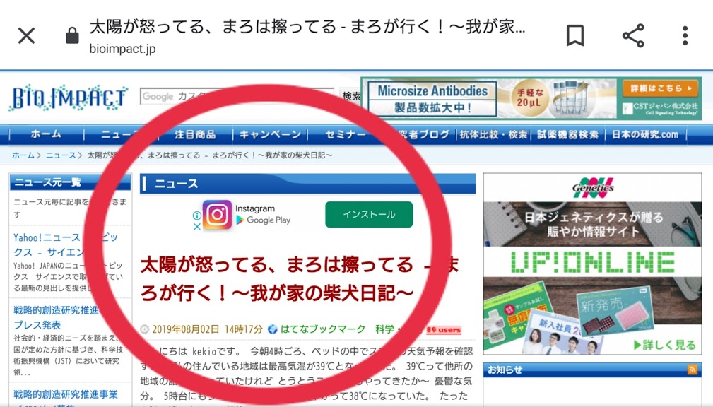 f:id:kekio2000:20190809140144j:plain f:id:kekio2000:20190809140144j:plain