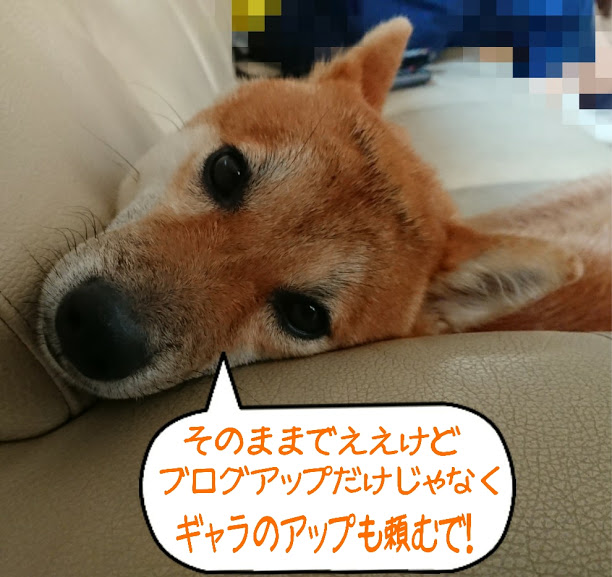 f:id:kekio2000:20190809142630j:plain f:id:kekio2000:20190809142630j:plain