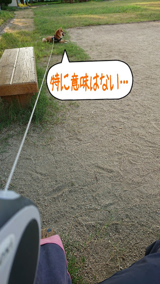 f:id:kekio2000:20190810124505j:plain f:id:kekio2000:20190810124505j:plain