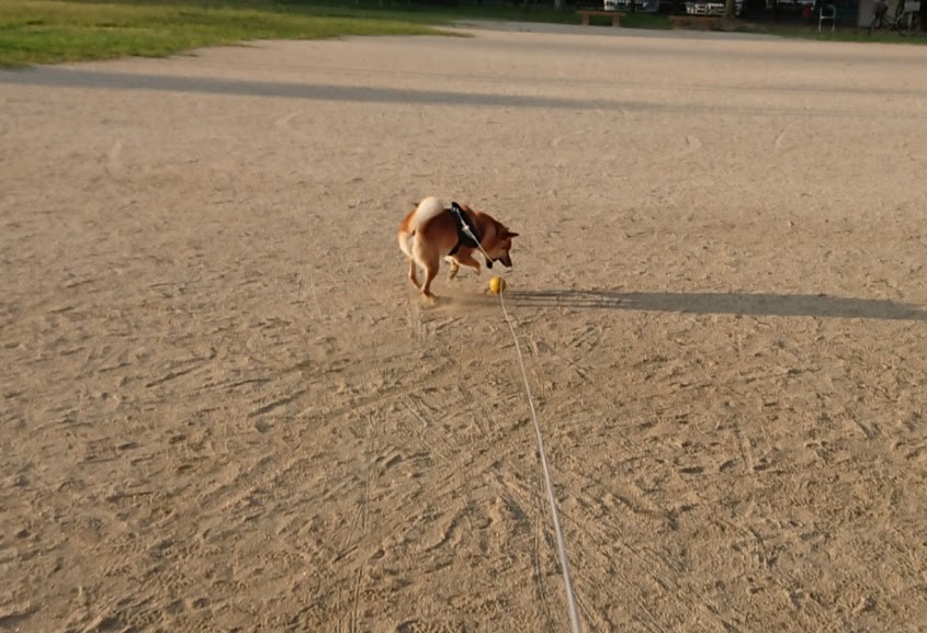 f:id:kekio2000:20190810130930j:plain f:id:kekio2000:20190810130930j:plain