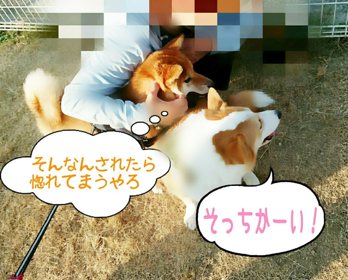 f:id:kekio2000:20190811135634j:plain