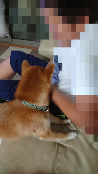 f:id:kekio2000:20190814204944j:plain