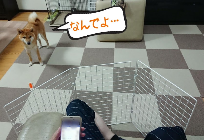 f:id:kekio2000:20190815190114j:plain