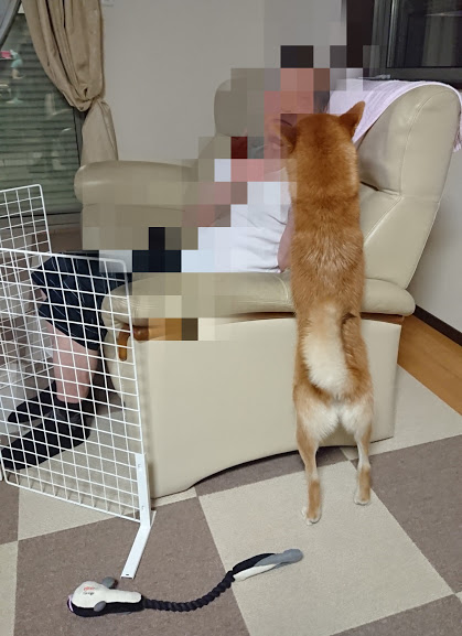 f:id:kekio2000:20190815190700j:plain