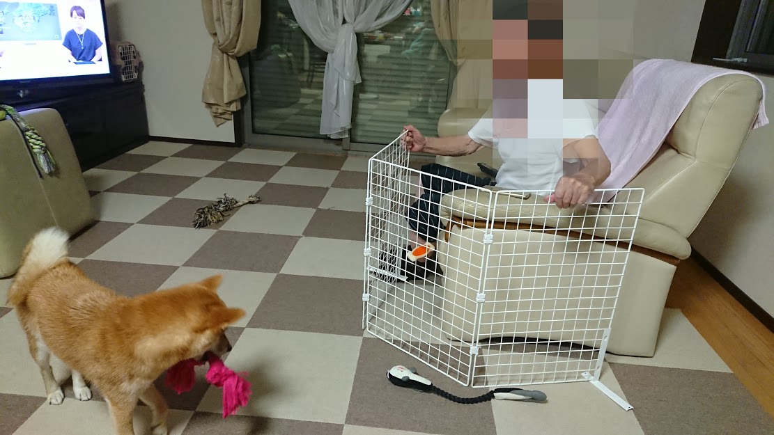 f:id:kekio2000:20190815190723j:plain