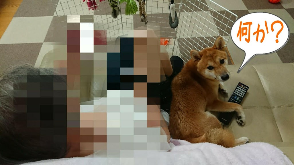 f:id:kekio2000:20190815192330j:plain