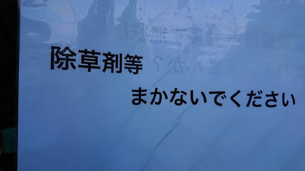 f:id:kekio2000:20190822134347j:plain f:id:kekio2000:20190822134347j:plain