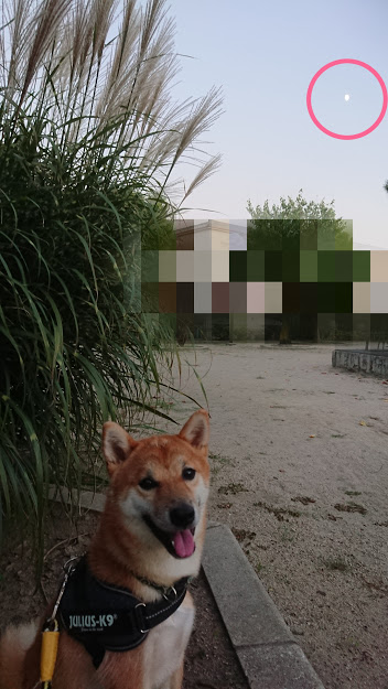 f:id:kekio2000:20190909212028j:plain