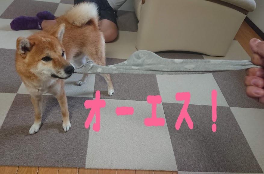 f:id:kekio2000:20190921202054j:plain f:id:kekio2000:20190921202054j:plain