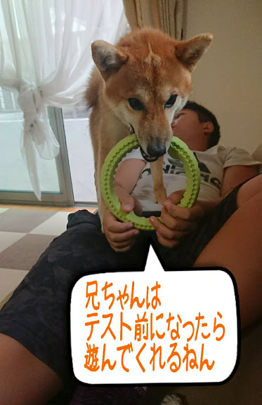 f:id:kekio2000:20190921202118j:plain f:id:kekio2000:20190921202118j:plain