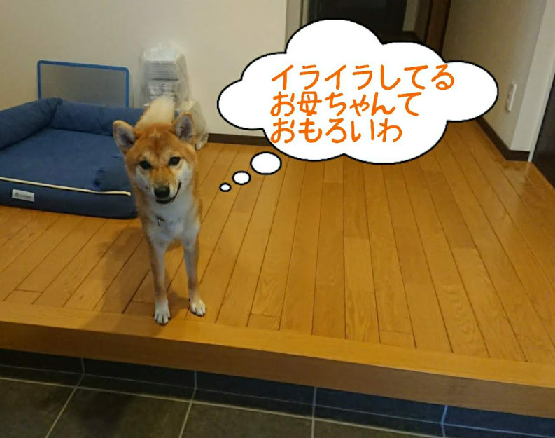 f:id:kekio2000:20190922203532j:plain f:id:kekio2000:20190922203532j:plain