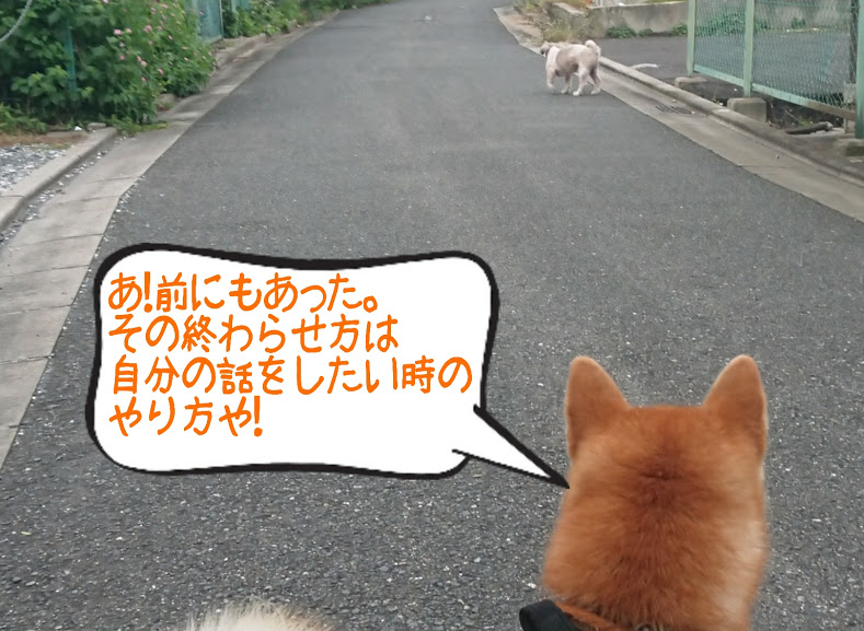 f:id:kekio2000:20190922210718j:plain f:id:kekio2000:20190922210718j:plain