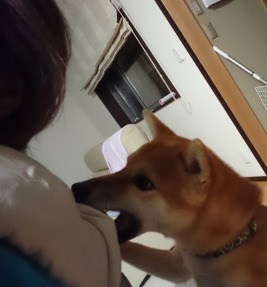f:id:kekio2000:20191011195215j:plain f:id:kekio2000:20191011195215j:plain