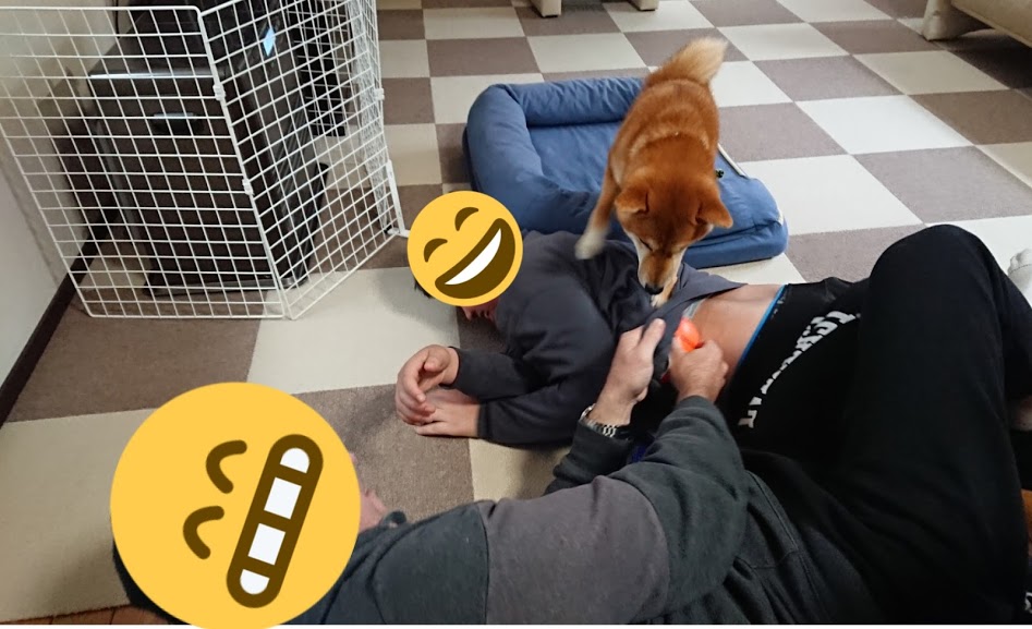 f:id:kekio2000:20191231164334j:plain f:id:kekio2000:20191231164334j:plain