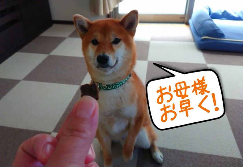 f:id:kekio2000:20200508211643j:plain f:id:kekio2000:20200508211643j:plain