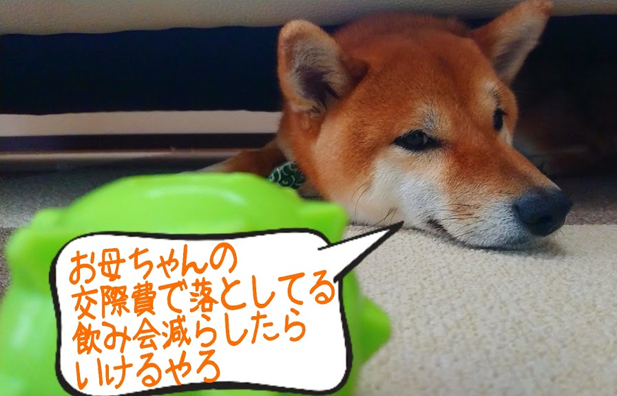 f:id:kekio2000:20200508214109j:plain f:id:kekio2000:20200508214109j:plain