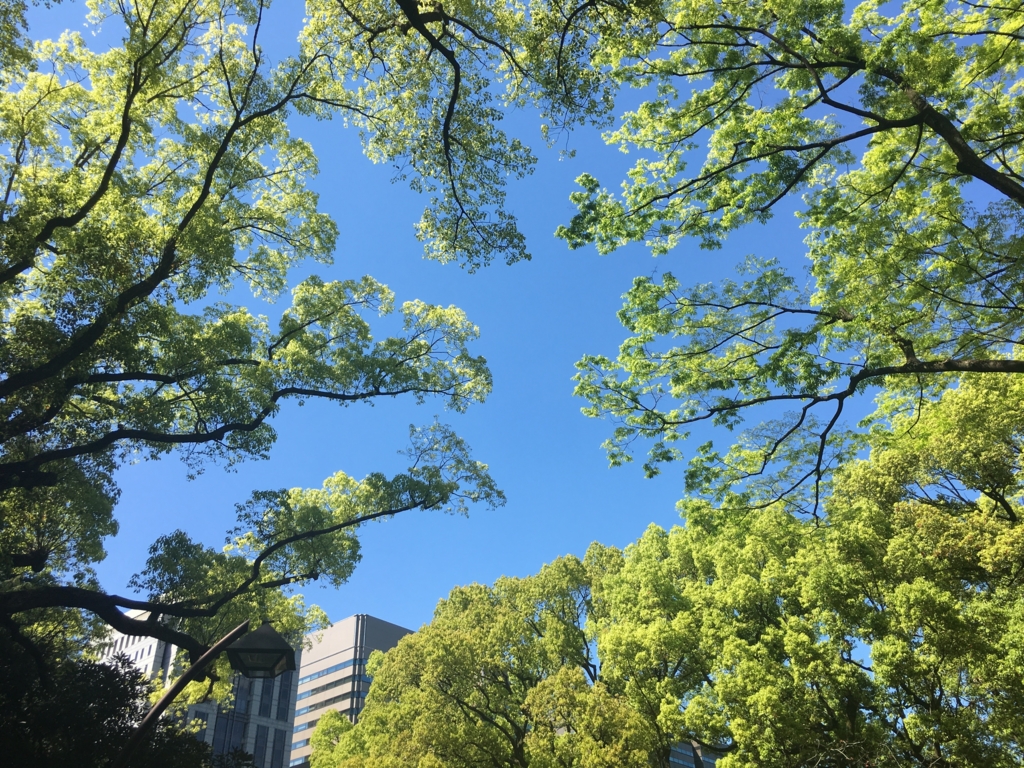 f:id:kekko96:20170424181947j:plain f:id:kekko96:20170424181947j:plain