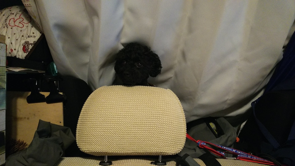 f:id:keksyh:20190708093809j:plain