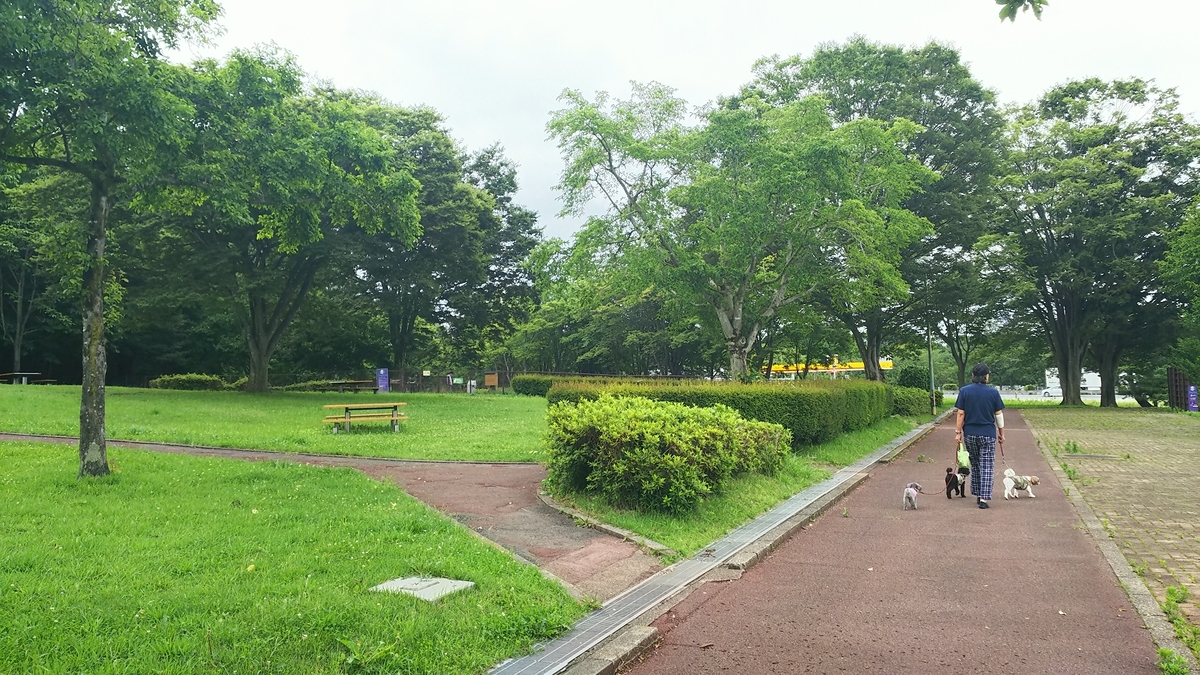 f:id:keksyh:20190708120749j:plain